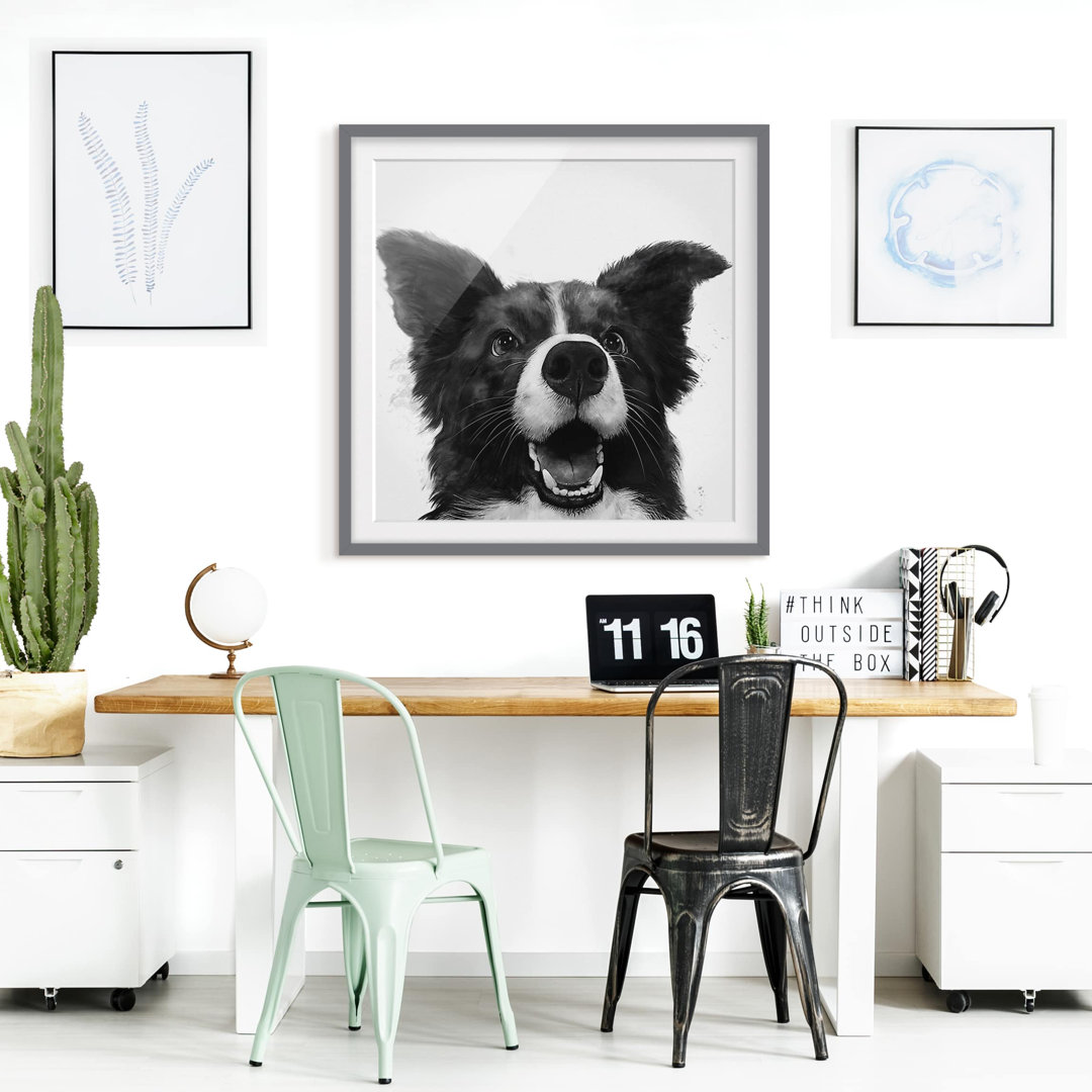 Gerahmtes Poster Illustration Dog Border Collie in Schwarzweiß