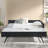 Daybed with Trundle Upholstered Tufted Sofa Bed