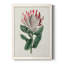 Protea N13 - Peinture sur toile encadrée-267897610-267897842