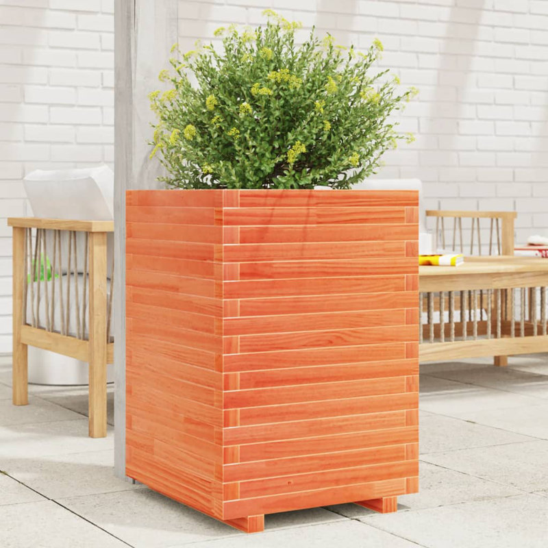 Wood Planter Box, 72cm H x 50cm W x 50cm D, Wax Brown