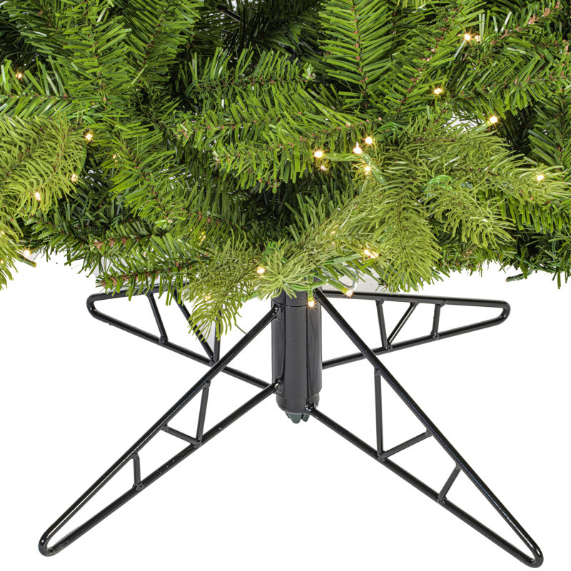 Vickerman Balsam Spruce Slim Artificial Christmas 12' H Lighted Artificial Spruce Christmas Tree, 12' H x 65" W