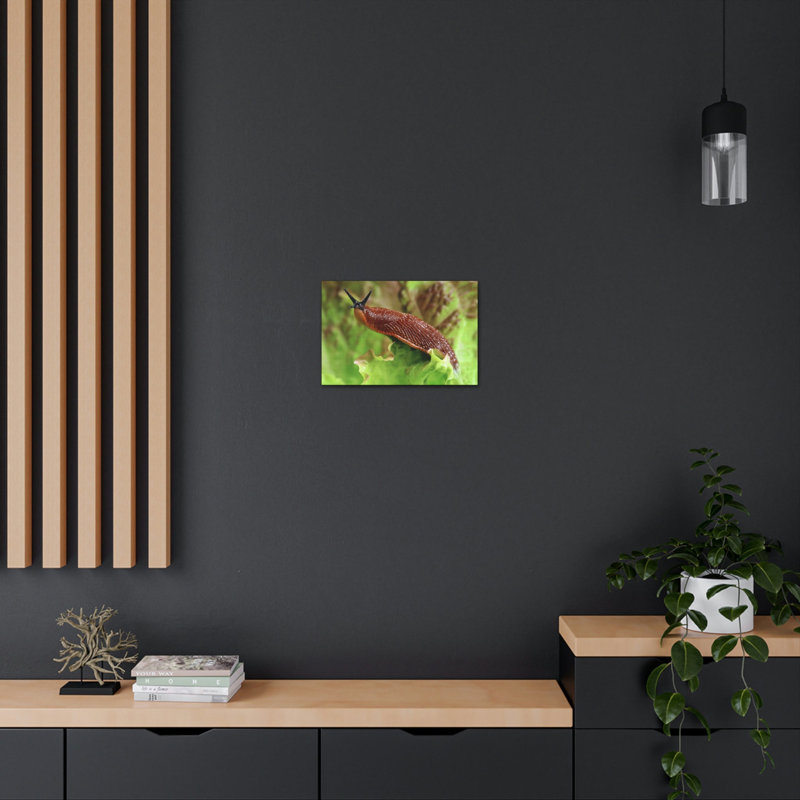 No Frame Print on Canvas, 12cm H x 16cm W