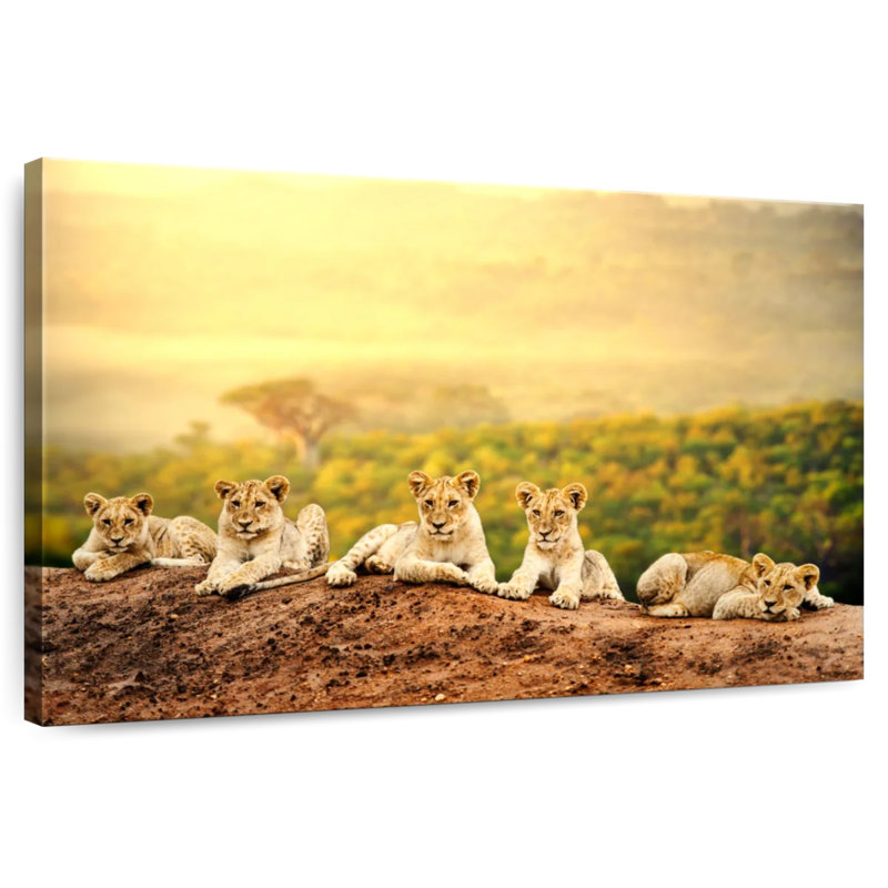 Brampt Young Lions, 34" H x 51" W