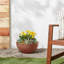 Pot à fleurs Myrie-1550971925-1550971926