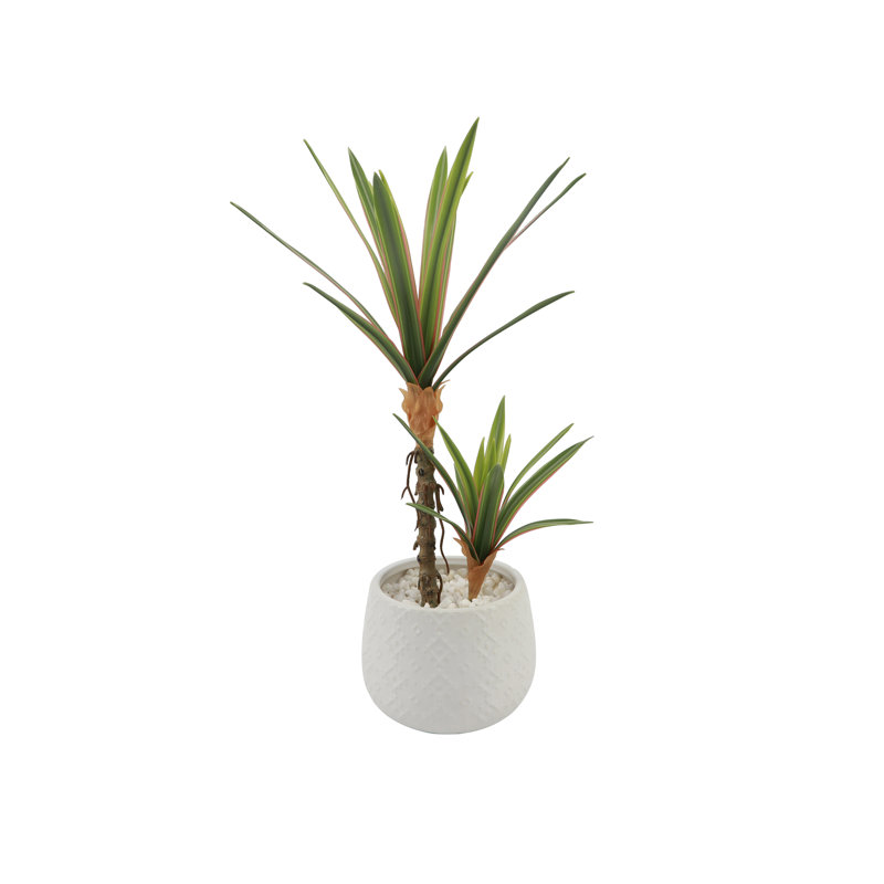 Céramique Real-Touch Yucca