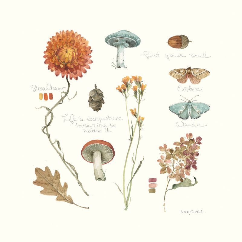 «Season's Study VII on Canvas» par Lisa Audit, H 12 po x l 12 po