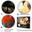 «Cubist Balloon Expedition», reproduction sur toile-1500378594-1500378603
