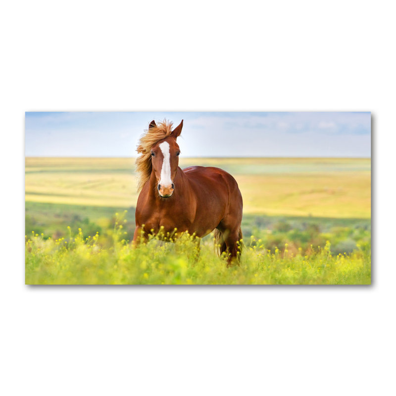 Brown Horse - Wrapped Canvas Print