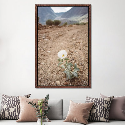 Yosemite Bloom by Bethany Young - Print on Canvas