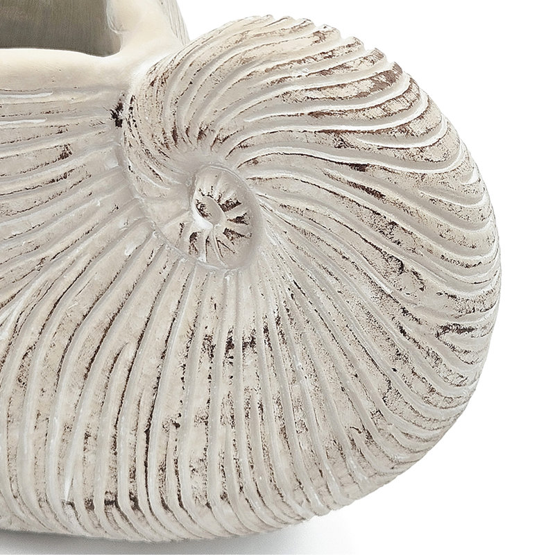 Alariz Textured Beige Finish Sand And Cement Shell Planter For Succulents Bringing Tranquility To Your 11.5X6.7X7.7 Inches In Appearance With Neutral Colorway Herb Arrangement Bathroom