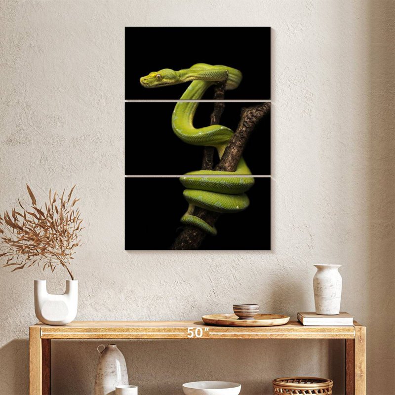 Brampt Python Wrapped Around A Branch