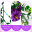 Arrangement