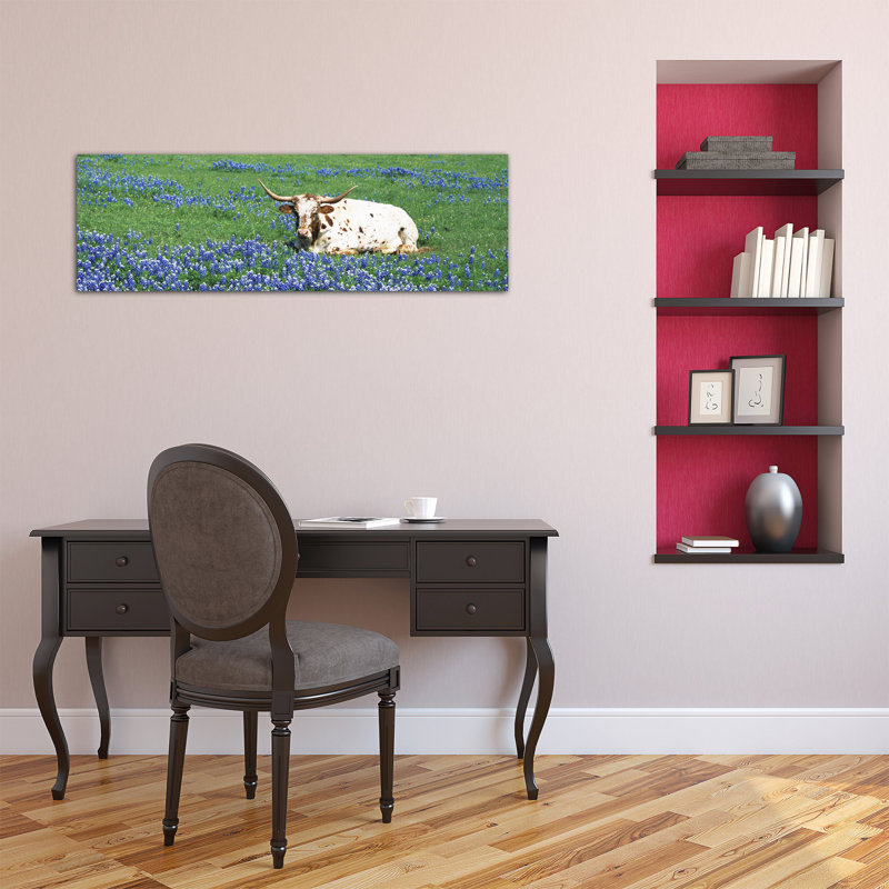 Vache panoramique de Longhorn du Texas assise sur un champ Field, Texas, États-Unis - Impression sur toile tendue sur châssis