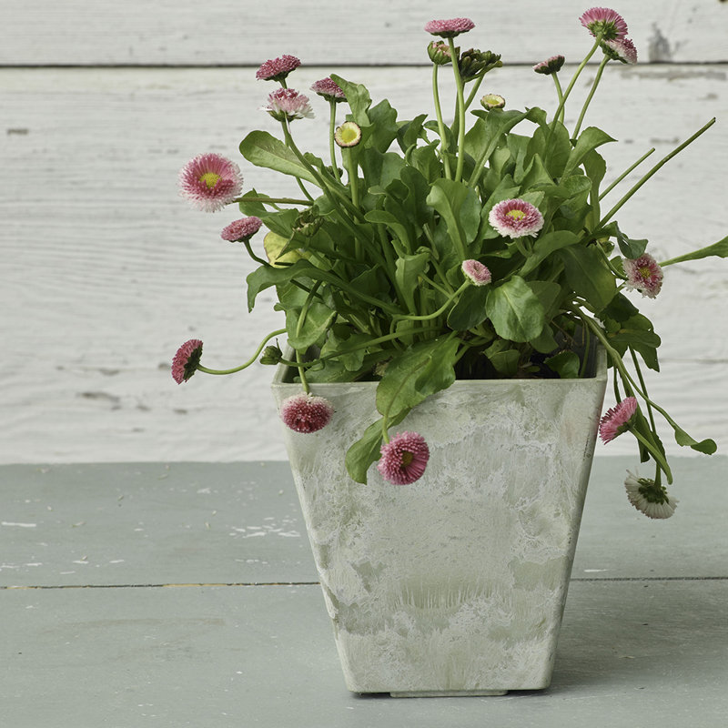 Pot à fleurs en résine Oslo, H 9,75 po x l 10 po x P 10 po, Menthe