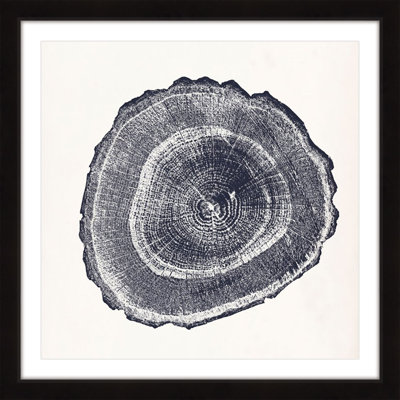 " Tree Ring III "
