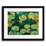 Tranquil Lily Pond Print by Ruth Hayes