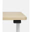 Duo Standing Desk-718154652-718154625-718154647