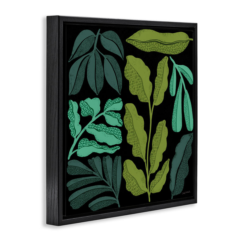 «Plant Sprig Collage» par Cheryl Warrick, Cadre flottant noir de jais, H 18 po x l 18 po