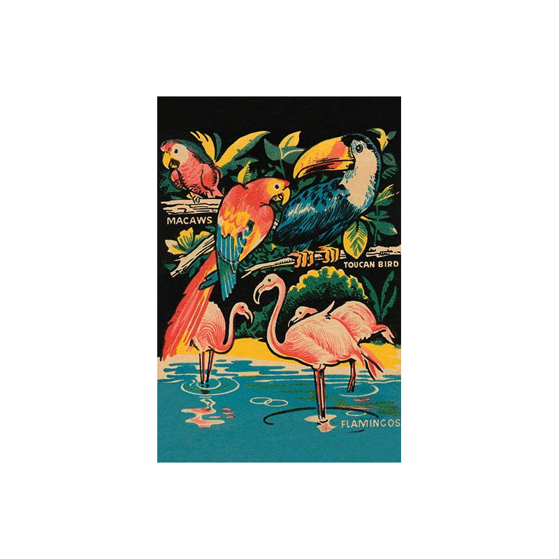 « tropical hobbyland-oiseaux », impression, 42" H x 28" W