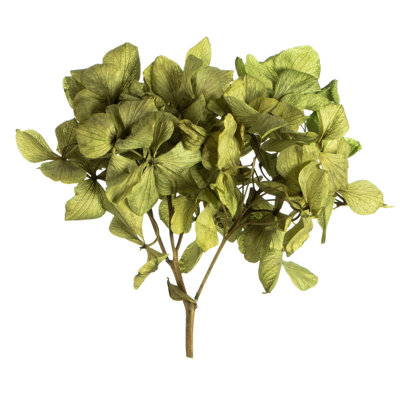 Centre de table d'hortensia Vickerman