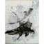 AURACH236MU05 Area Rug-64348375