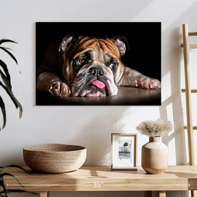 Sad Bulldog