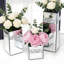 Vase Broken
