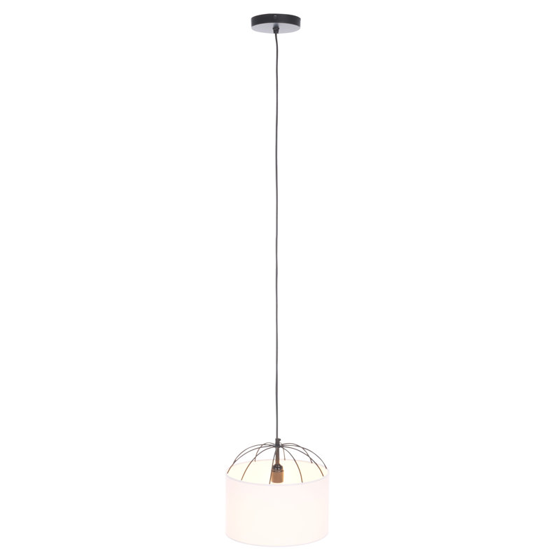 Luminaire suspendu en métal 12 po Noomi