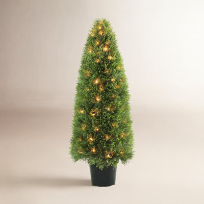 Moss Topiary in Pot