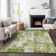 Machine Washable Indoor/Outdoor Chayden ACN1008 Green Rug