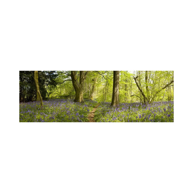 Trees In A Forest, Thursford Wood, Norfolk, England - Wrapped Canvas Panoramic Print, 30.48 cm H x 91.44 cm W x 1.91 cm D