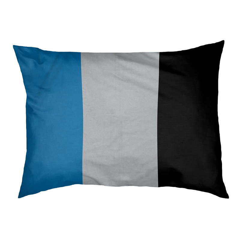 Coussin Designer, Grand (L 40 po x l 50 po), Bleu / argent / noir