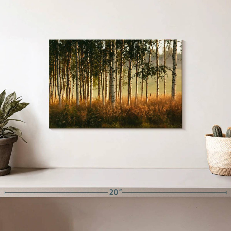 Forêt de bouleaux Harnek Grassy, H 8 po x l 12 po