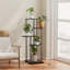 5-Tier Plant Stand Plant Display-1723488252