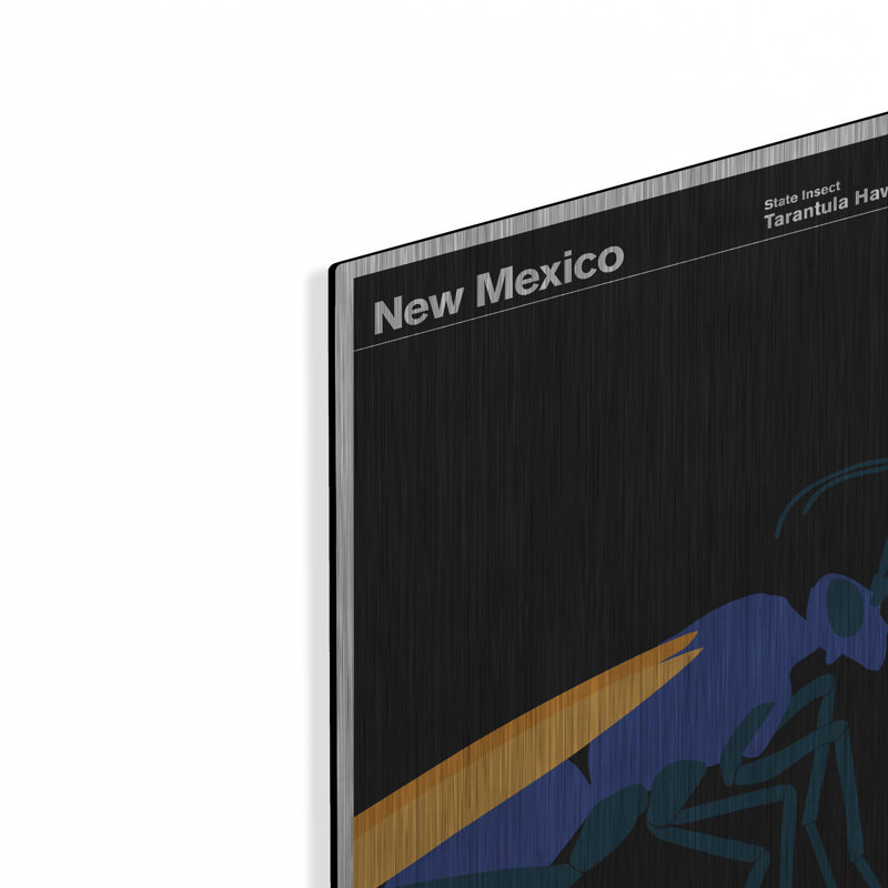 "State Posters Nouveau-Mexique" par Print Collection, H 16 po x l 12 po