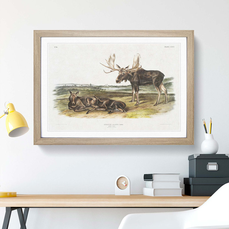 Moose Deer by J.W. Audubon - Picture Frame Art Print, 27cm H x 36cm W x 2cm D, Oak Framed