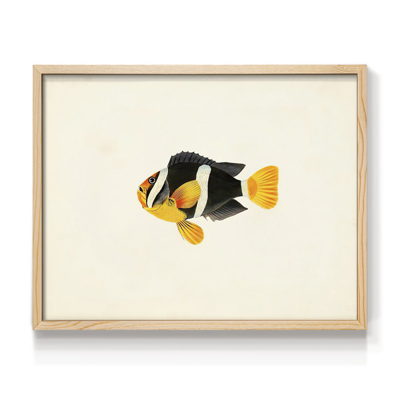 Tropical Fish Collection II -Framed Print - Restickable, H 22 po x l 28 po, Naturel