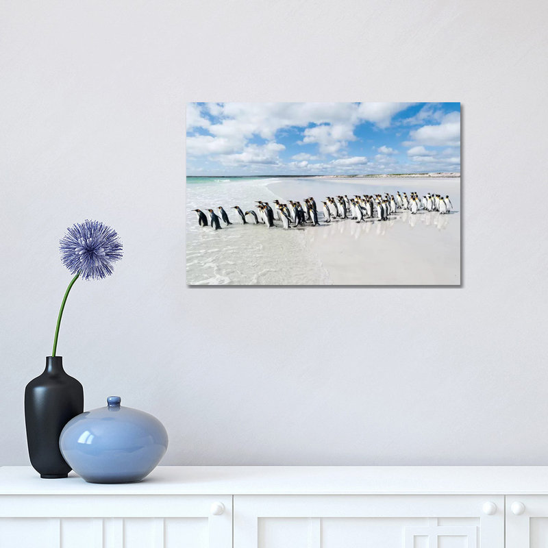 King Penguins Entering Sea, Volunteer Beach, East Falkland Island, Falkland Islands 1 Piece Wrapped Canvas Wall Art
