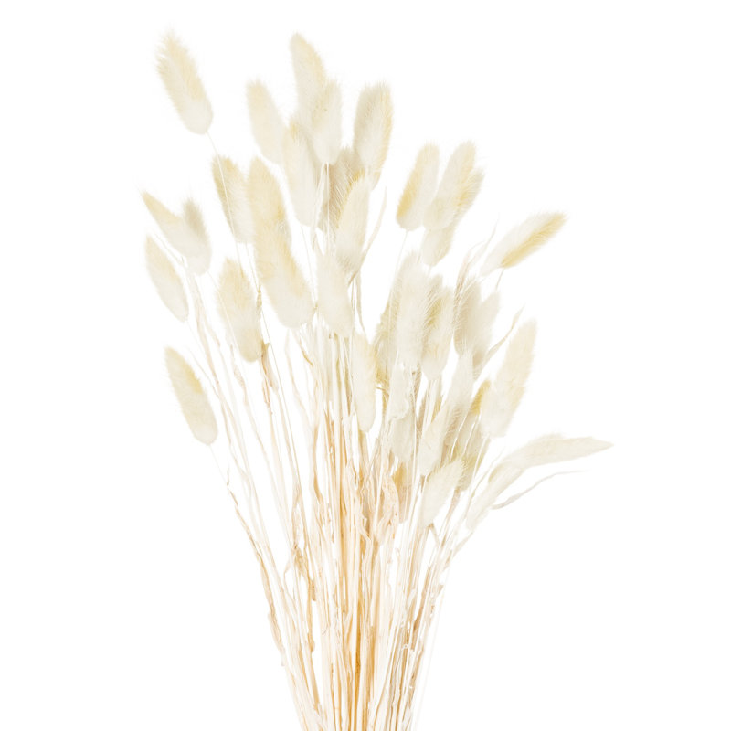 Anastasija Arrangement, White, White, 60 cm H x 10 cm W x 10 cm D