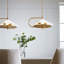Gesture 2 - Light Pendant-751141824