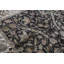 Chantel Oriental Area Rug