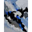 Abstract 886150 Print by Pol Ledent-65824893-65849088
