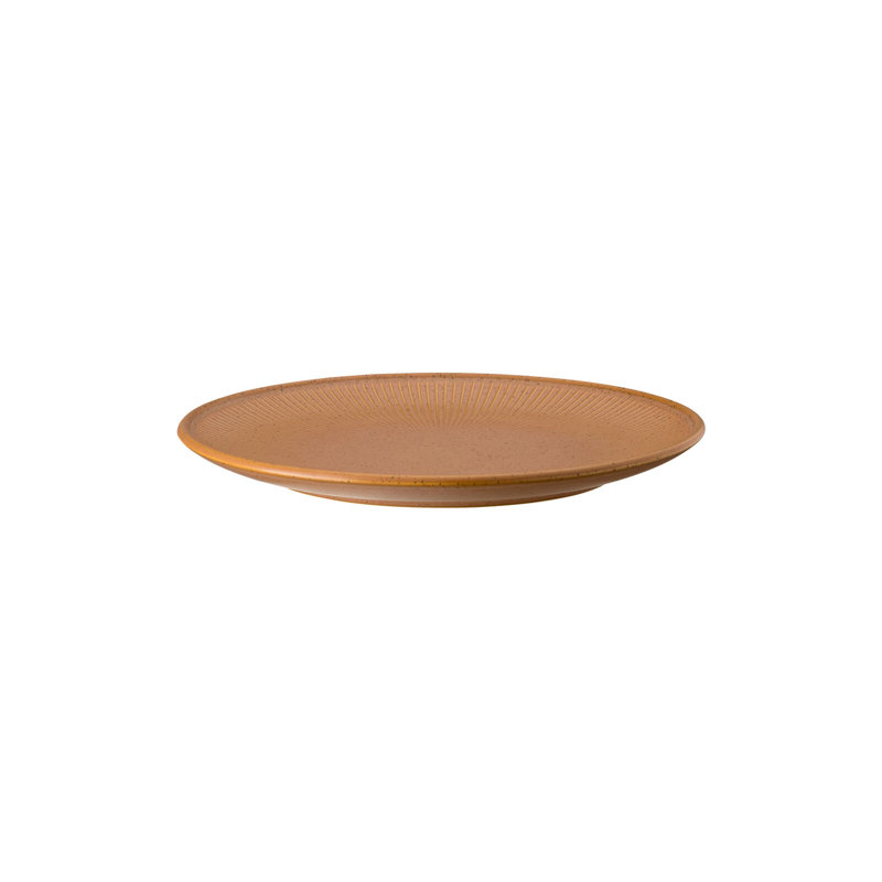 Thomas Clay Stoneware Salad/Dessert Plate, Earth