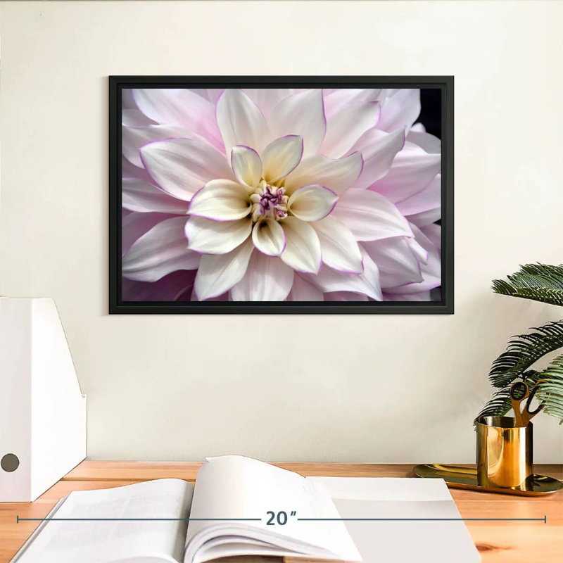 White And Purple Dahlia, Floating Frame Black, 13" X 9"