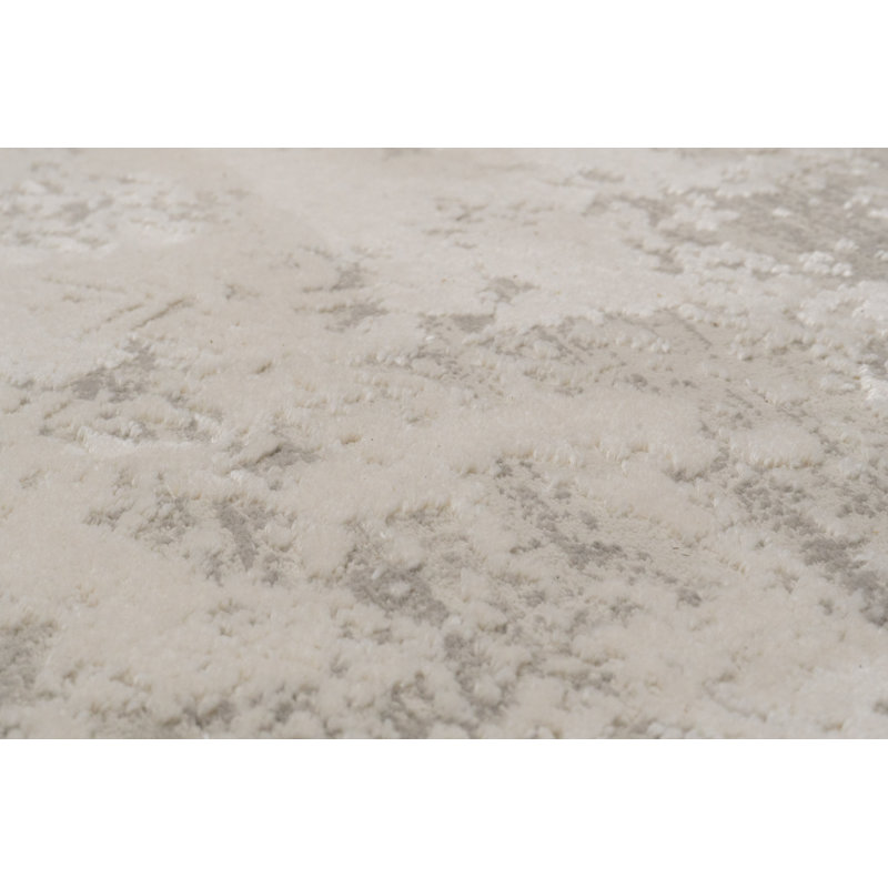 Shaniya Abstract Indoor Rug, Rectangle 2' x 3'11"