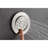 Shower System with Shower Head