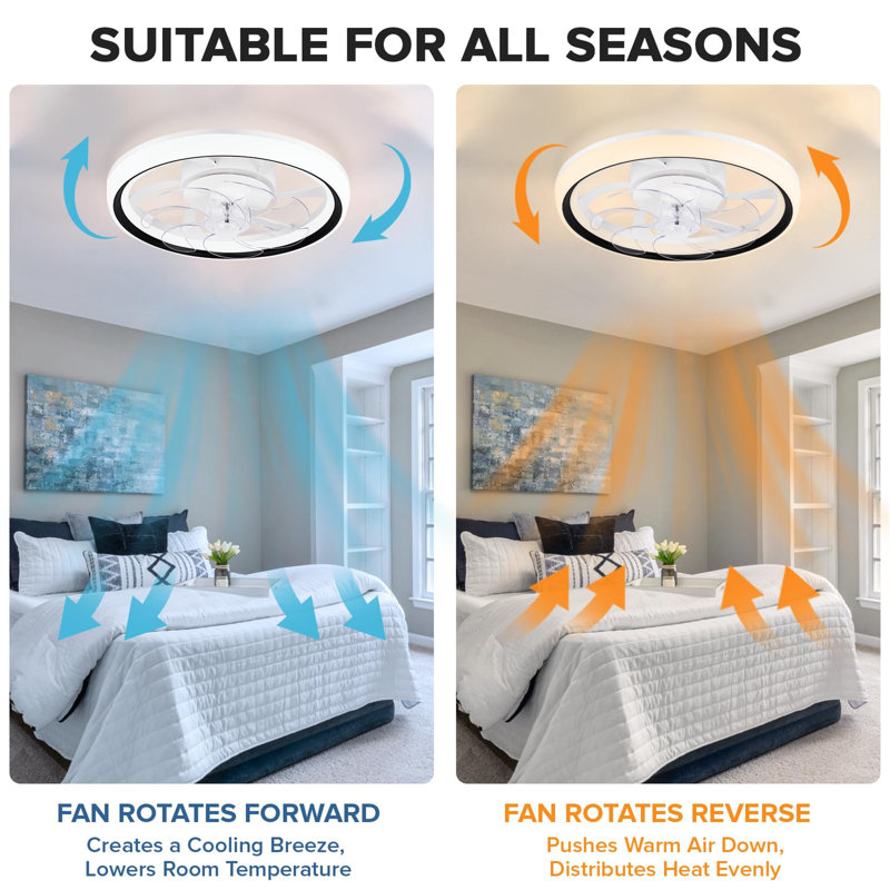 Ceiling Fan with LED Lights