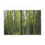 No Frame Print on Canvas-1706869502