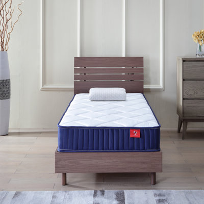 Foam and Spring Hybrid Mattress by Ebern Designs