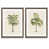 Espresso Framed Paper selected